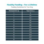 Mera Vital Renal Wet Dog Food - Image 5