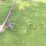 Play Stick ( Extendable)