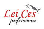 Lei Ces
