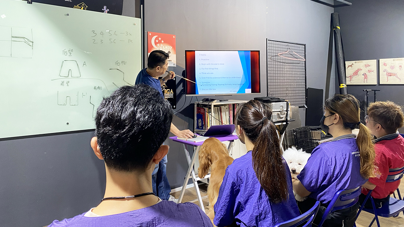 Lei Ce, experienced dog trainer with over 30 years of expertise in dog behavior and obedience