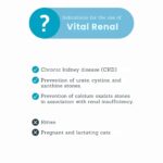MERA Vital Renal Wet Cat Food 200g – Kidney Support Veterinary Diet - Image 4