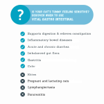 Mera Vital Gastro Intestinal Wet Cat Food - Image 3