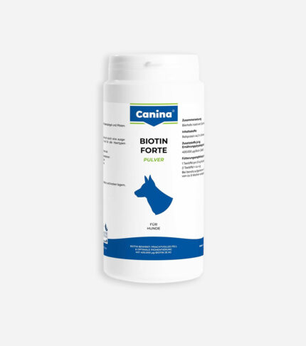 Biotin Forte Powder natural supplement for dogs to promote strong coat